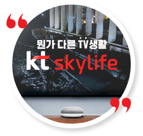 뭔가 다른 TV생활 KT SkyLife